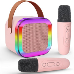 Haut-parleur K12 - 2 Micro...