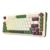 CLAVIER MECANIQUE REDRAGON CYRUS PRO K681CGC-RGB-PRO