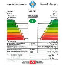 climatiseur gree economique