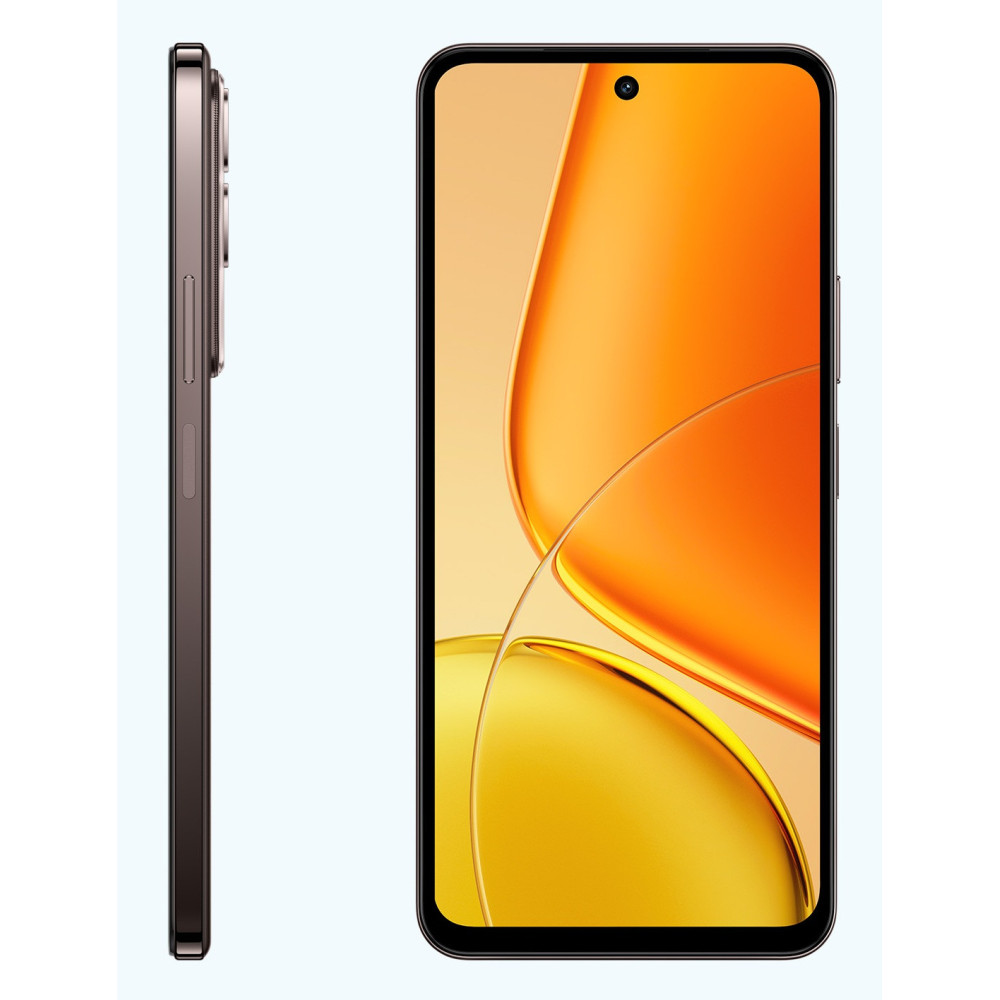 VIVO Y29 Tunisie 8Go Ram 256Go Stockage couleur Marron