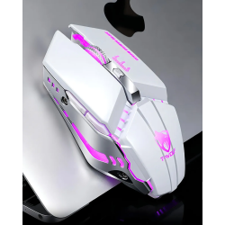 Souris Gaming