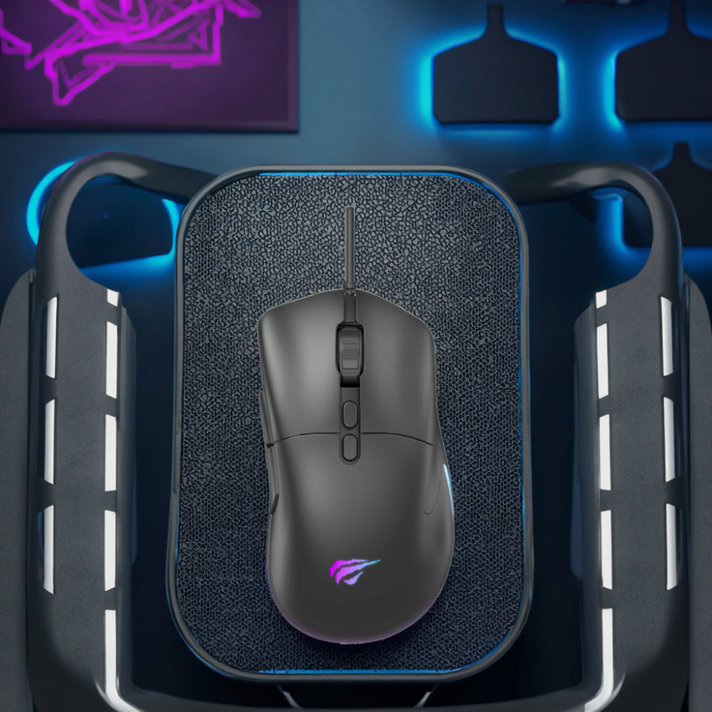 Souris Optique Filaire Gamer HAVIT MS954 Backlit / RGB / Noir