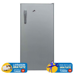 Réfrigérateur MONTBLANC FG23 223L / Gris / FG23