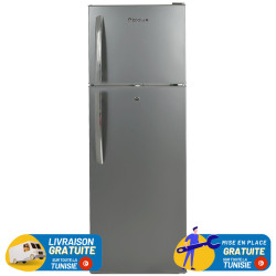 RÉFRIGÉRATEUR 2 PORTES BIOLUX DP25-S / 171 LITRES / DEFROST / Silver