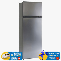 RÉFRIGÉRATEUR BIOLUX De Frost DP35S 245Litres SILVER