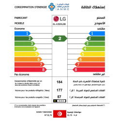 Réfrigérateur LG GL-C252SLBB No Frost / 234L