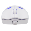 SOURIS sans fil White Shark  WGM-5019 DAGONET / 24.000 dpi - white