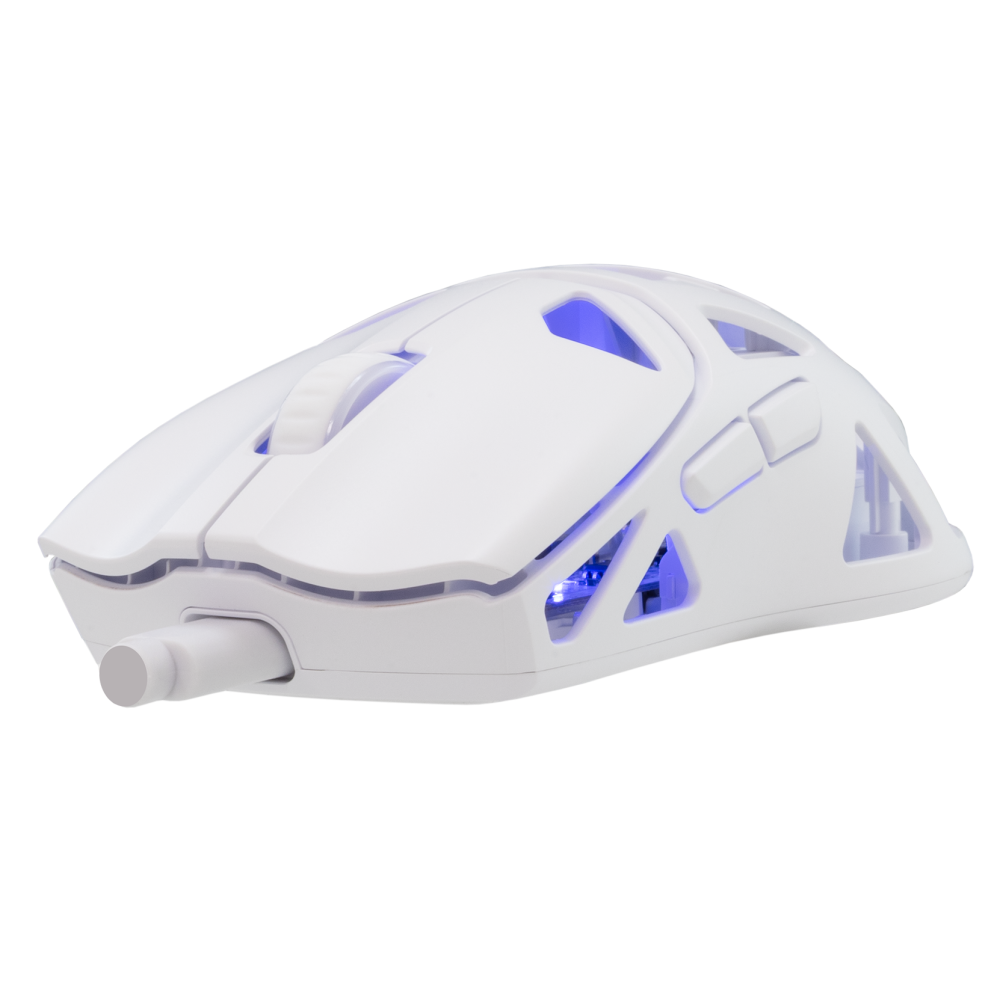 SOURIS sans fil White Shark  WGM-5019 DAGONET / 24.000 dpi - white