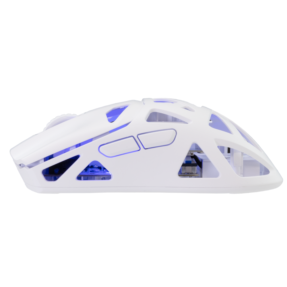 SOURIS sans fil White Shark  WGM-5019 DAGONET / 24.000 dpi - white