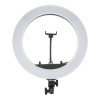 Ring light Lumière Anneau avec Trépieds 2M