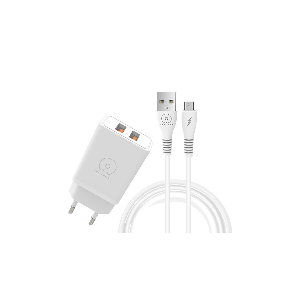 CHARGEUR WUW T55 MICRO USB / DEUX SORTIE USB