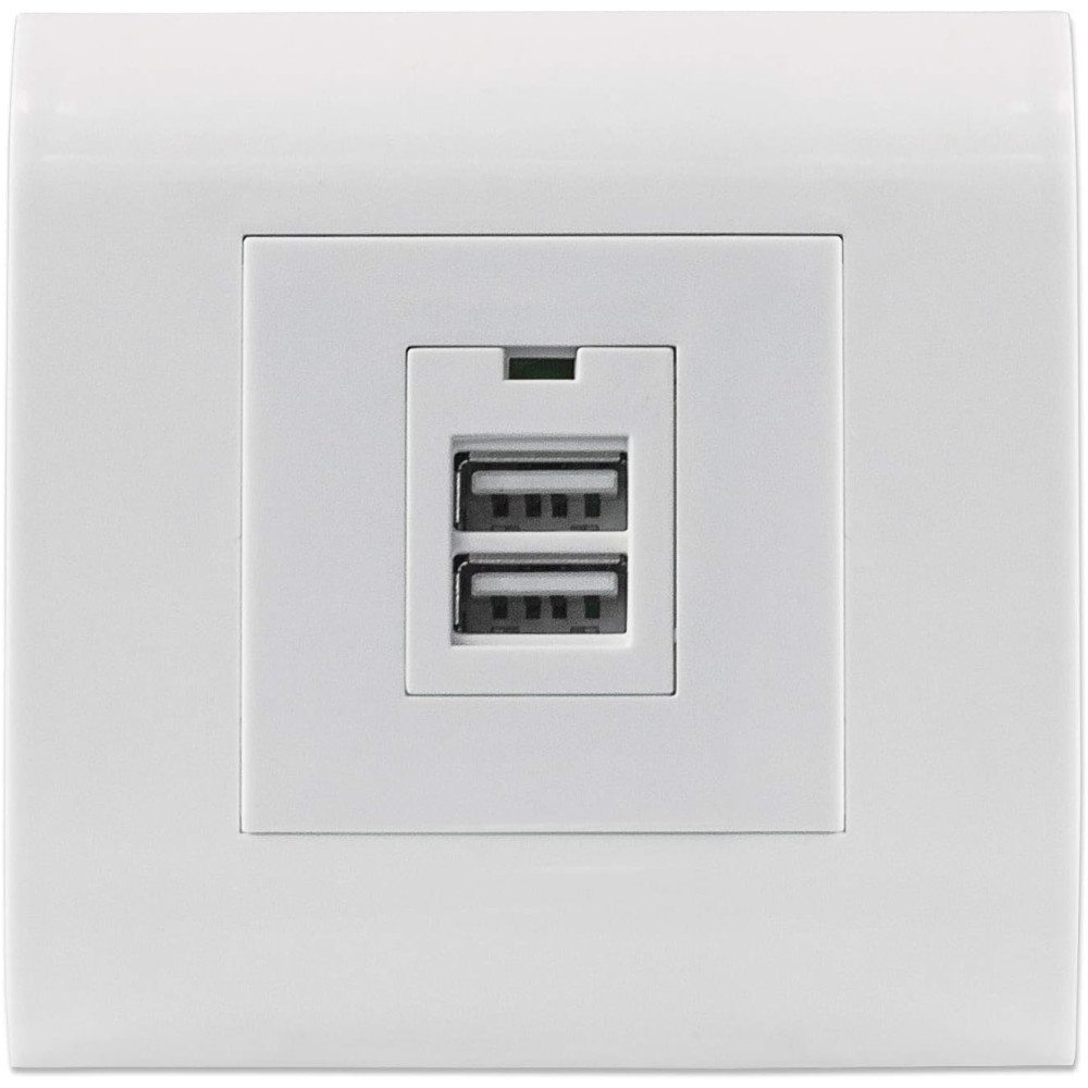 Prise murale USB-A à 2 ports Intellinet