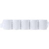 5x ROULEAU PAPIER THERMIQUE 80MM*60MM