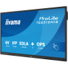 ECRAN INTERACTIF Tactile IIYAMA 65" 4K UHD Android 14 OS EDLA