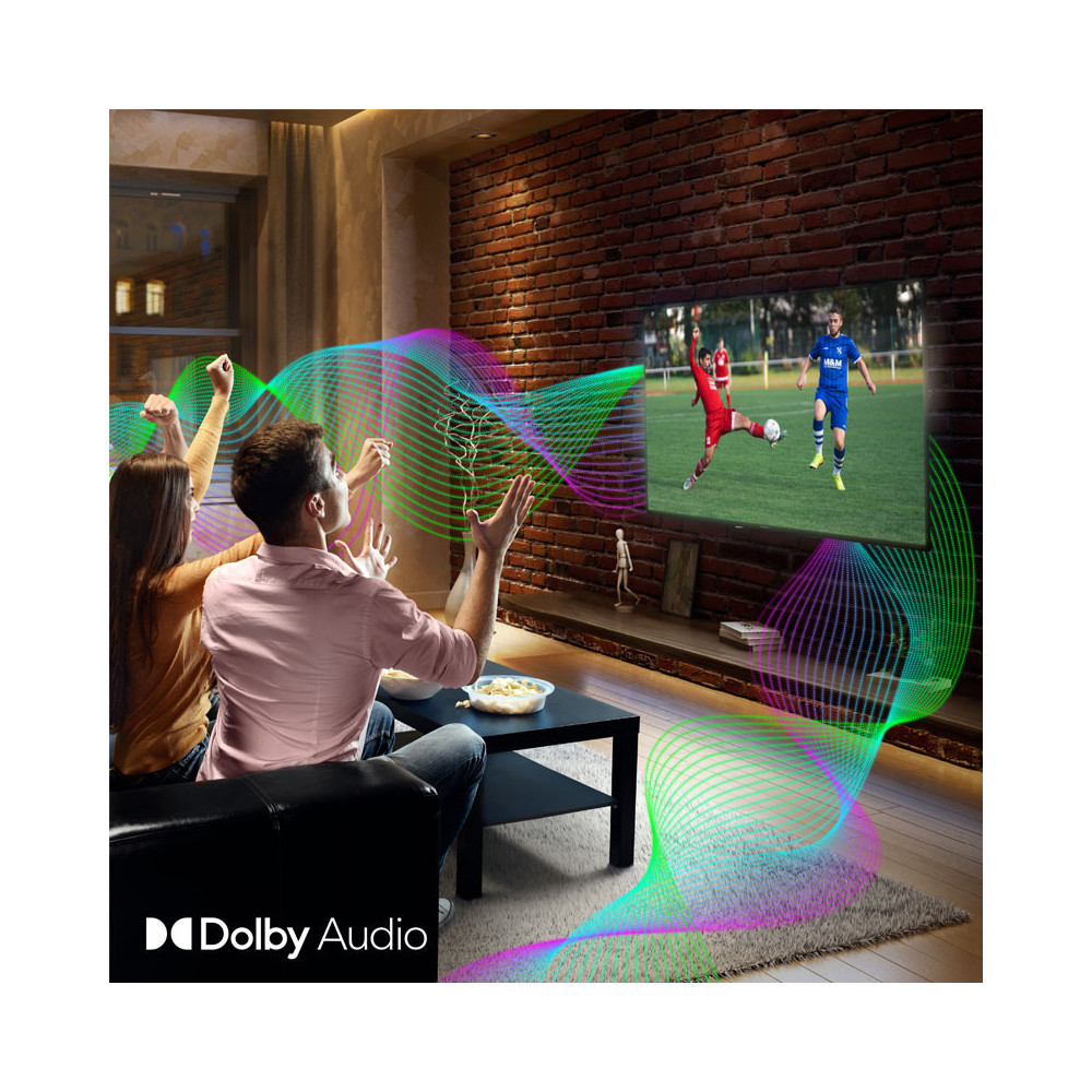 Thomson Google TV 55" UHD Google TV / 55UG4S14