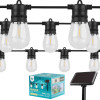 Guirlande solaire LED Forever Light SUNARI FLS-60 7,5 m 10 ampoules