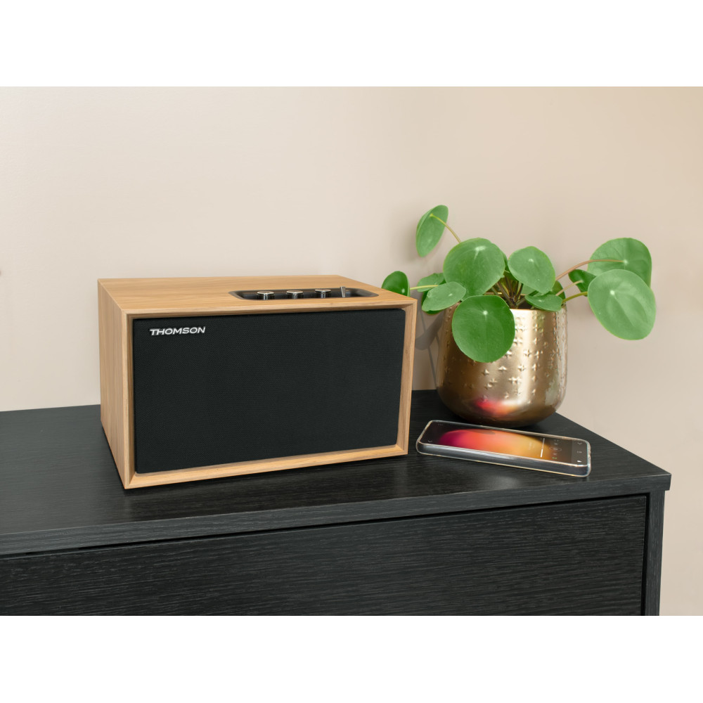 ENCEINTE THOMSON Residentielle Compacte WS302  50W / Bois