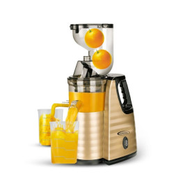 Extracteur De Jus FLORENCE 300W / GOLD