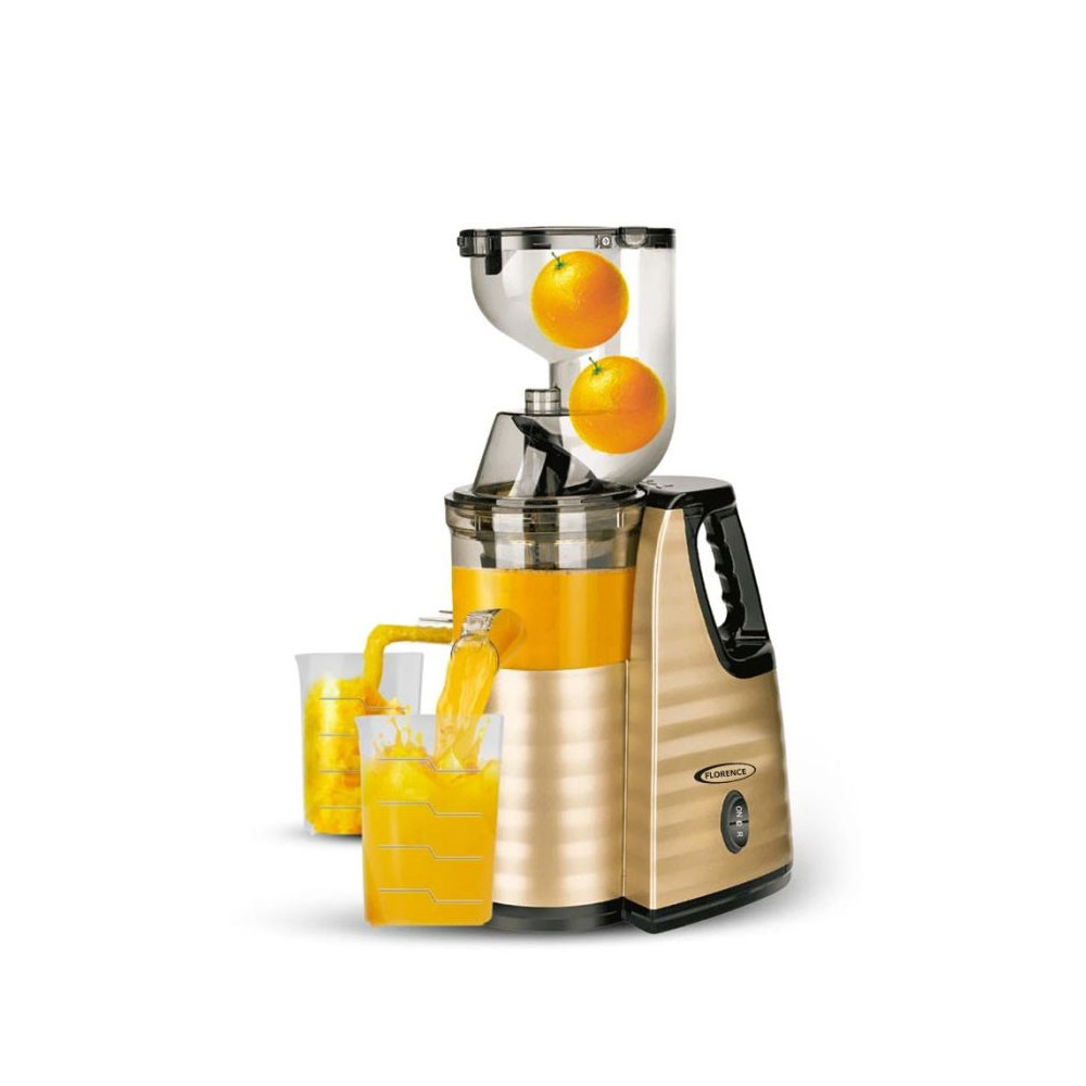 Extracteur De Jus FLORENCE 300W / GOLD