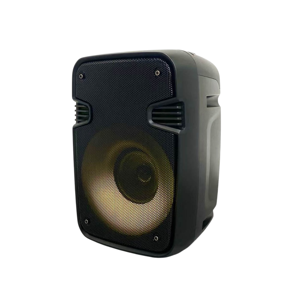Haut-Parleur Mobile et système d'éclairage 10 w 3 pouces / Noir