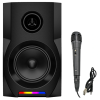 Haut-parleur Super grande Mega Extra / RGB / JQS-401 / BT karaoké /18W / BLACK