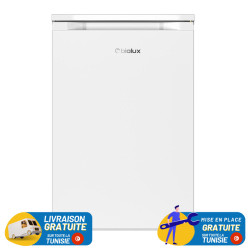 Congélateur BIOLUX Vertical De Frost une Porte 80 Litres / Silver