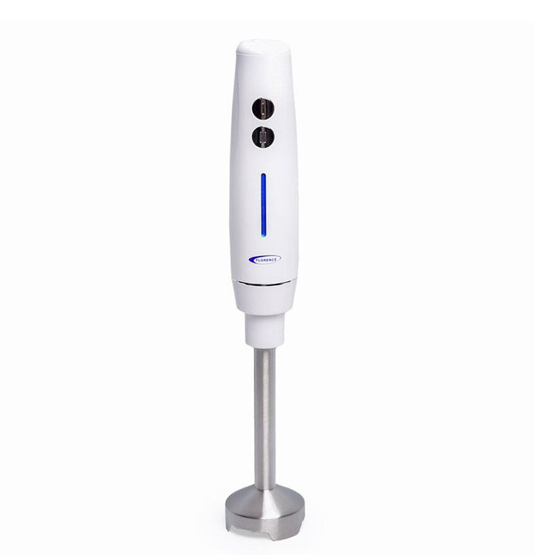 Mixeur Plongeant Florence 250W / Blanc / HK404-WH