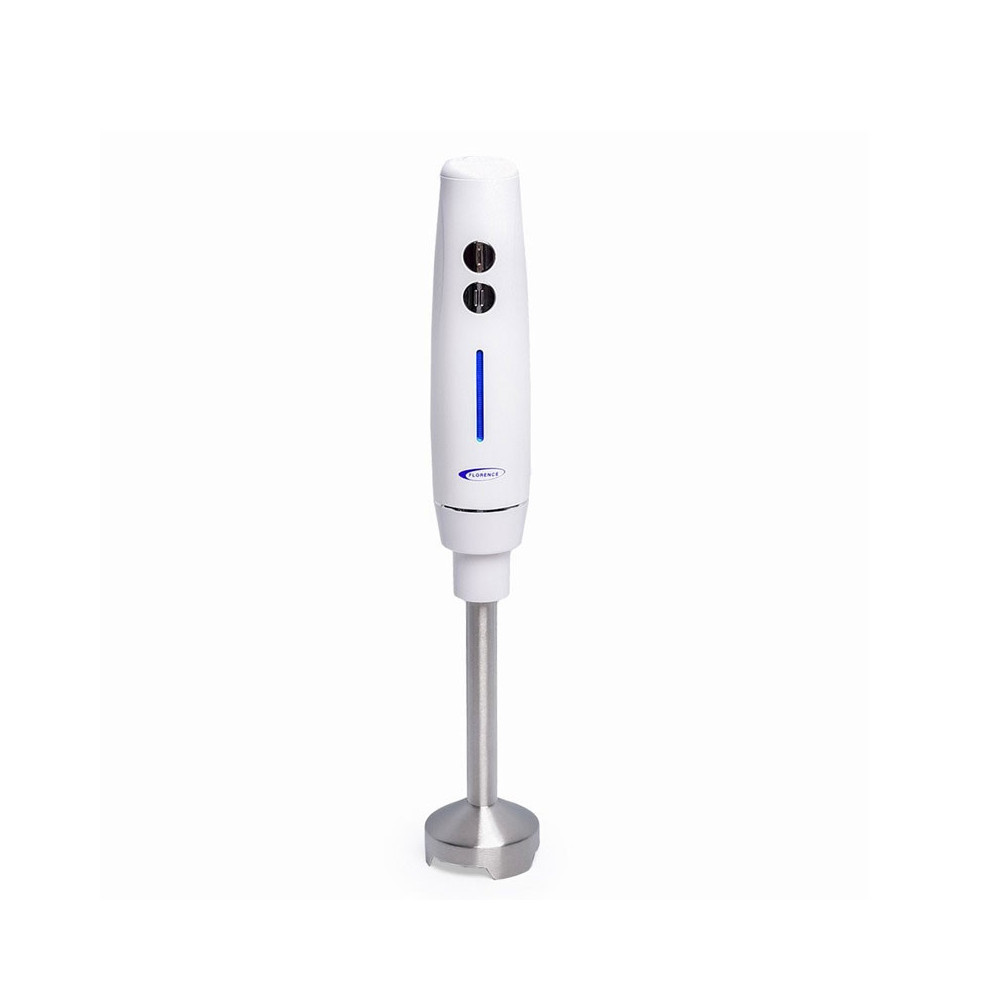 Mixeur Plongeant Florence 250W / Blanc / HK404-WH