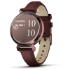 Montre Connectée Garmin Lily 2 Classic Dark Bronze