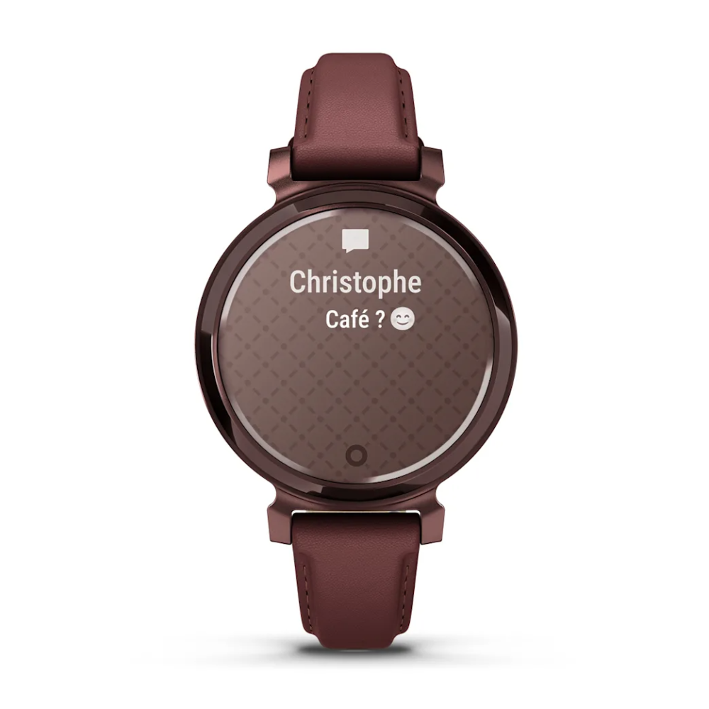 Montre Connectée Garmin Lily 2 Classic Dark Bronze