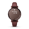 Montre Connectée Garmin Lily 2 Classic Dark Bronze