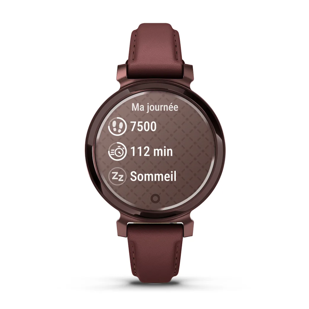 Montre Connectée Garmin Lily 2 Classic Dark Bronze
