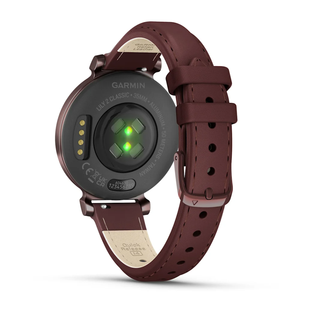 Montre Connectée Garmin Lily 2 Classic Dark Bronze