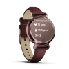 Montre Connectée Garmin Lily 2 Classic Dark Bronze