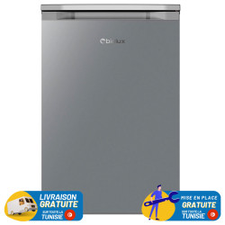 Congélateur BIOLUX Vertical De Frost une Porte 80 Litres / Silver