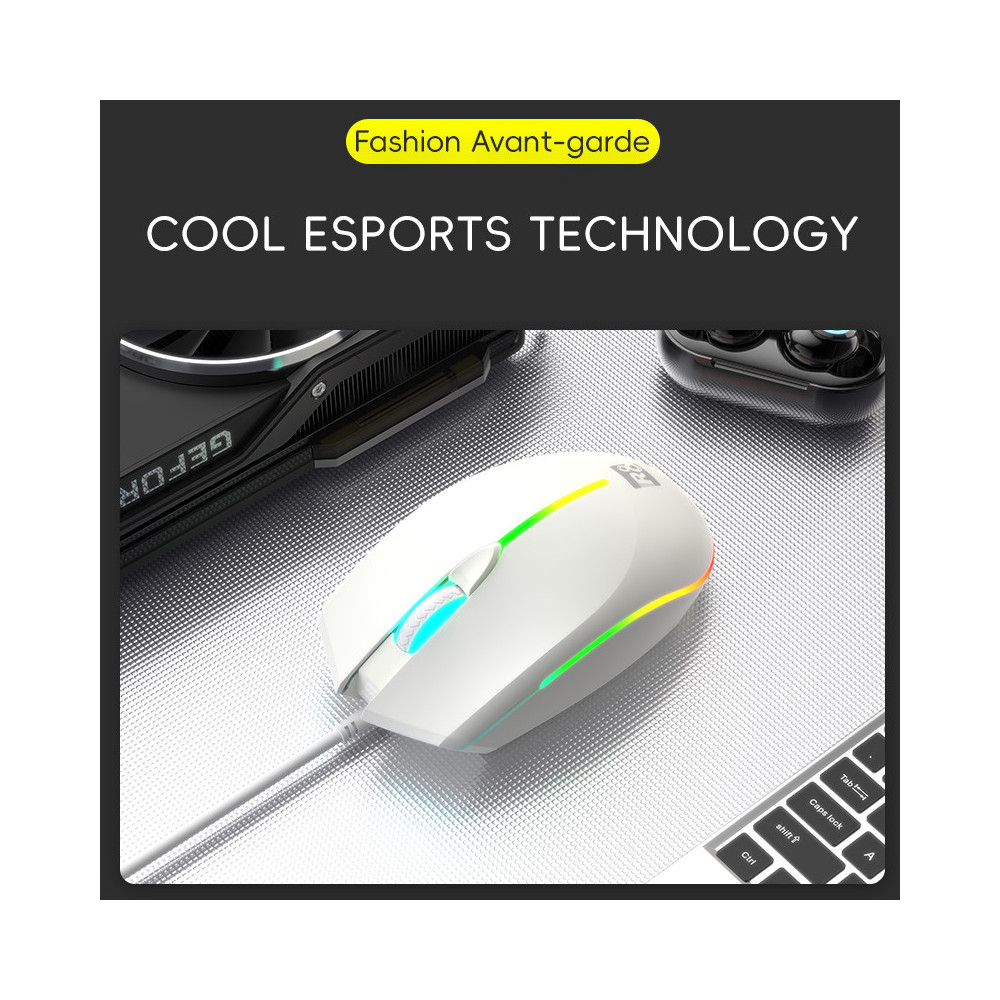 SOURIS OPTIQUE 4D R8 1660 / Blanc