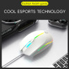 SOURIS OPTIQUE 4D R8 1660 / Blanc