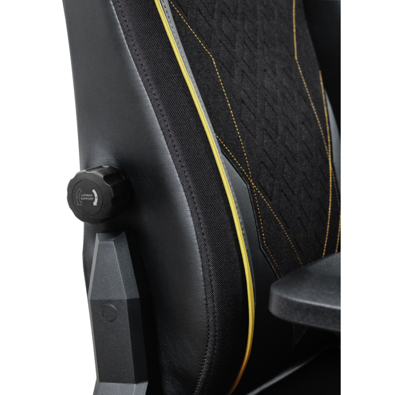 Chaise Gaming TRUST GXT 721 RUYA Pro
