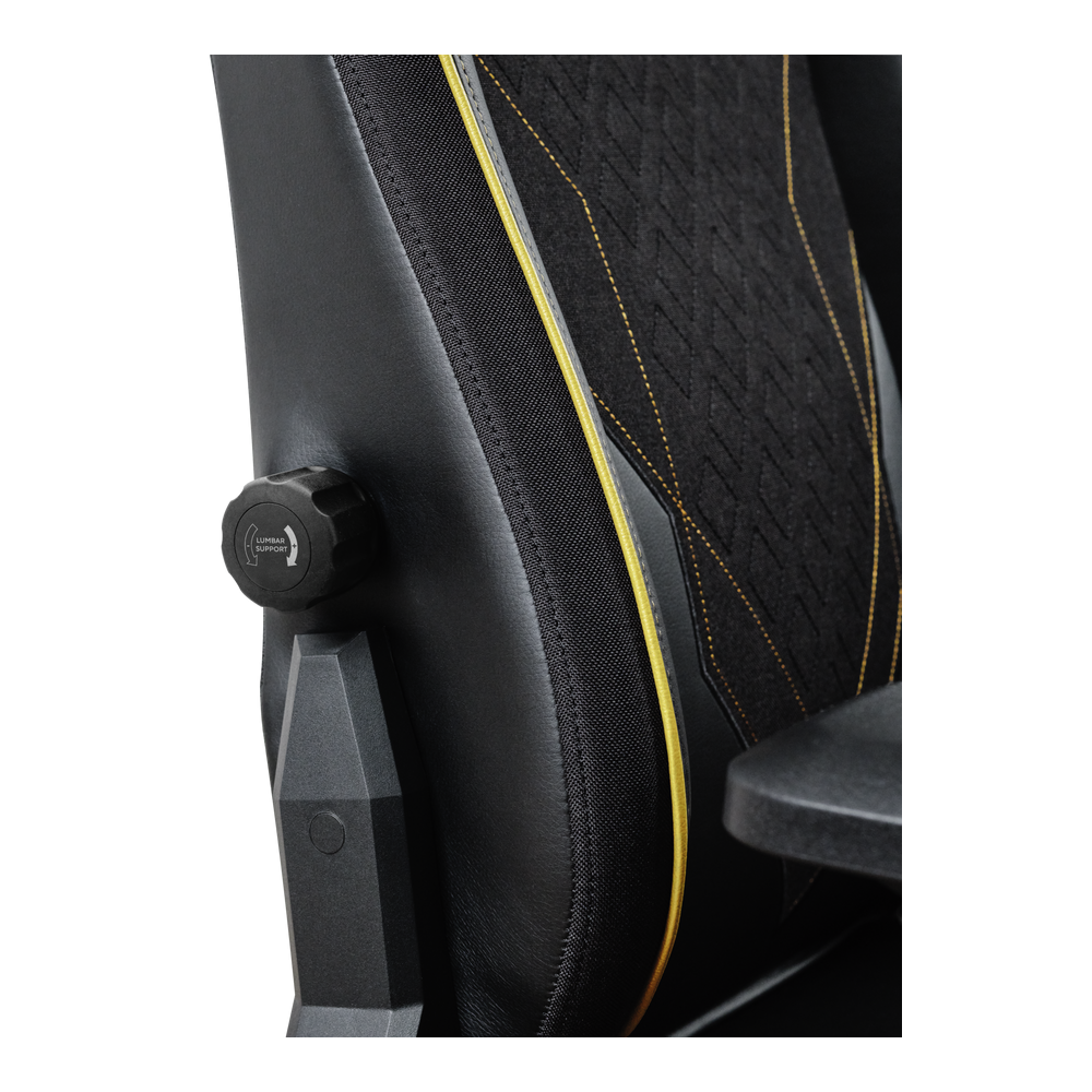 Chaise Gaming TRUST GXT 721 RUYA Pro