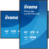 ECRAN TACTILE IIYAMA PROLITE 43'' 4K UHD 60Hz IPS HDMI/USB/DP/RJ45 / HAUT PARLEUR