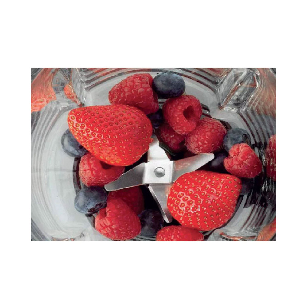 Blender HISENSE 1.5 Litres / 500W / Blanc