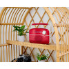 Radio Bluetooth à recharge solaire - RTS450BTR THOMSON / Rouge