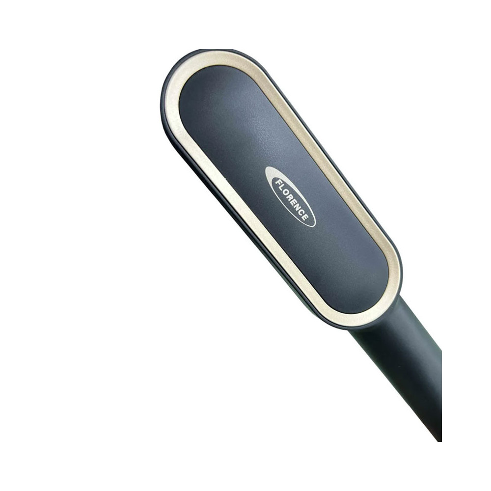 Brosse à Cheveux Électrique FLORENCE 50W / 230°C / Noir