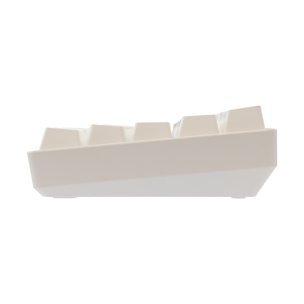 Clavier Gaming Mécanique White Shark GK-004231 SHINOBI-2 / US - BROWN.SW / Blanc