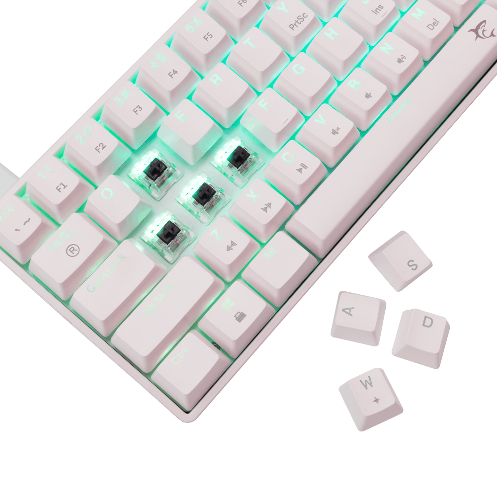 Clavier Gaming Mécanique White Shark GK-004231 SHINOBI-2 / US - BROWN.SW / Blanc