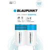 2 PILES Blaupunkt ZINC CARBON R14/C B2