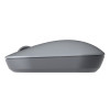SOURIS SANS FIL OMEGA 1200 DPI / Gris