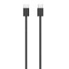 Apple Magic Mouse (USB-C) / Surface Multi-Touch / Noir