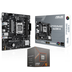 Pack Processeur AMD Ryzen 5 8400F 6C