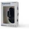 Souris optique sans fil GEMBIRD ergonomique à 6 boutons / Noir